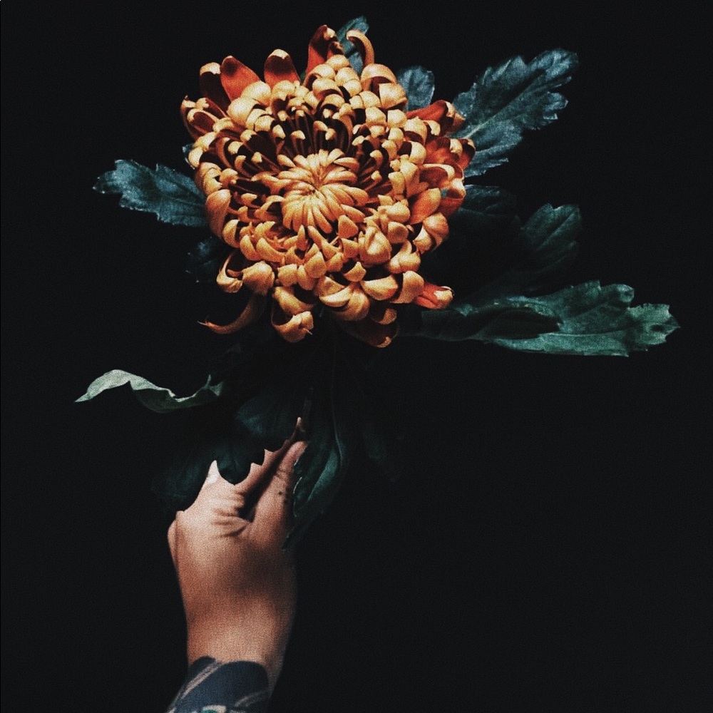 Meet your Posher, Angelique